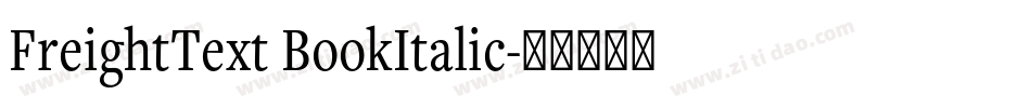 FreightText BookItalic字体转换